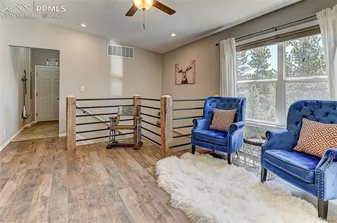 351 Pike View Dr, Divide, CO 80814 photo 15