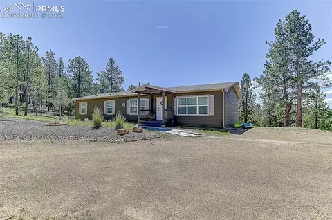 351 Pike View Dr, Divide, CO 80814 photo 4