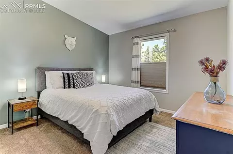 351 Pike View Dr, Divide, CO 80814 photo 19