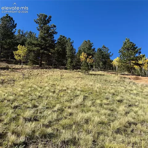 200 Beaver Pond Rd, Divide, CO 80814 photo 9