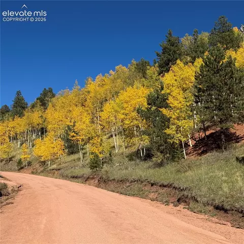 200 Beaver Pond Rd, Divide, CO 80814 photo 15