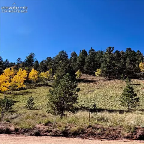 200 Beaver Pond Rd, Divide, CO 80814 photo 5