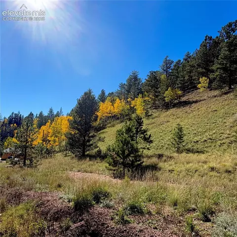 200 Beaver Pond Rd, Divide, CO 80814 photo 11