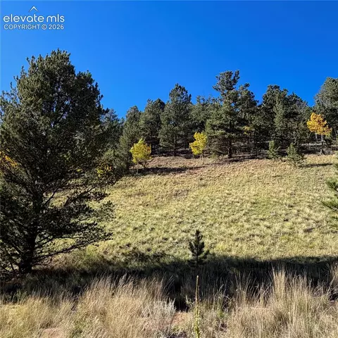 200 Beaver Pond Rd, Divide, CO 80814 photo 10