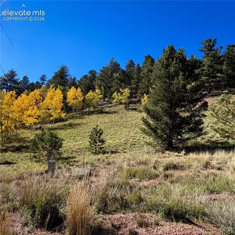 200 Beaver Pond Rd, Divide, CO 80814 photo 6