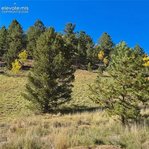 200 Beaver Pond Rd, Divide, CO 80814 photo 7
