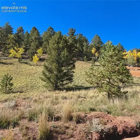200 Beaver Pond Rd, Divide, CO 80814 photo 2