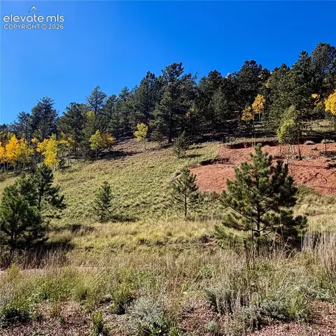 200 Beaver Pond Rd, Divide, CO 80814 photo 3