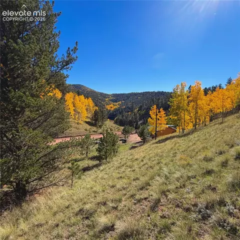 200 Beaver Pond Rd, Divide, CO 80814 photo 12