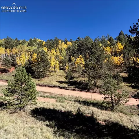 200 Beaver Pond Rd, Divide, CO 80814 photo 14