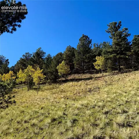 200 Beaver Pond Rd, Divide, CO 80814 photo 8