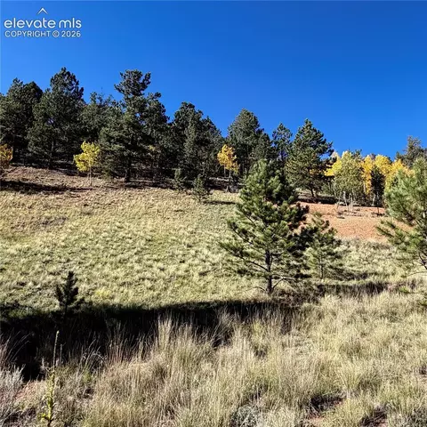 200 Beaver Pond Rd, Divide, CO 80814 photo 4