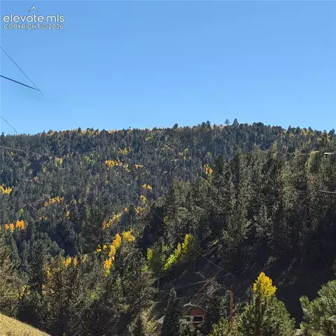 200 Beaver Pond Rd, Divide, CO 80814 photo 13