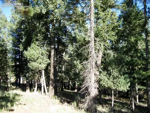 tbd Elfin Glen Dr, Divide, CO 80814 photo 8