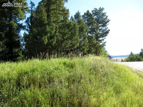 tbd Elfin Glen Dr, Divide, CO 80814 photo 11
