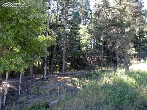tbd Elfin Glen Dr, Divide, CO 80814 photo 2