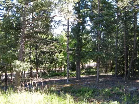 tbd Elfin Glen Dr, Divide, CO 80814 photo 3