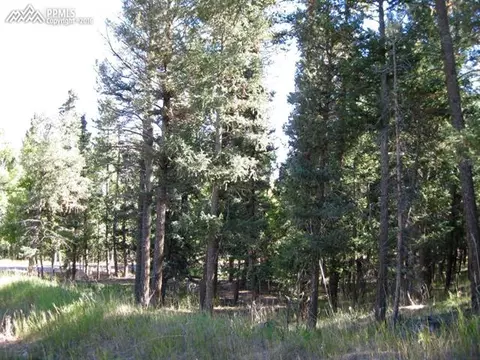 tbd Elfin Glen Dr, Divide, CO 80814 photo 5