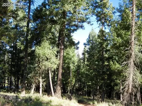 tbd Elfin Glen Dr, Divide, CO 80814 photo 6