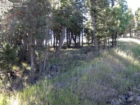 tbd Elfin Glen Dr, Divide, CO 80814 photo 4