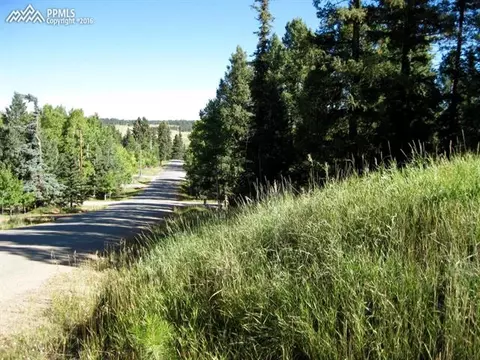 tbd Elfin Glen Dr, Divide, CO 80814 photo 10