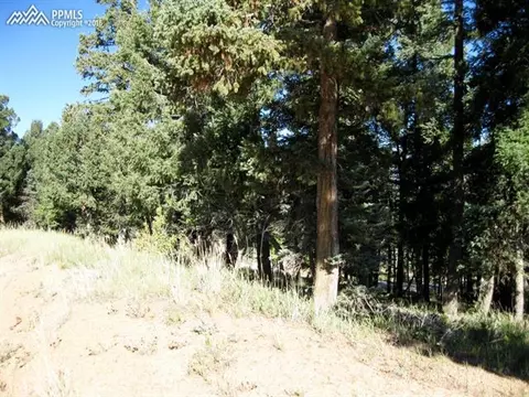 tbd Elfin Glen Dr, Divide, CO 80814 photo 7