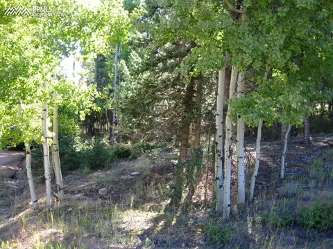 tbd Elfin Glen Dr, Divide, CO 80814 photo 1
