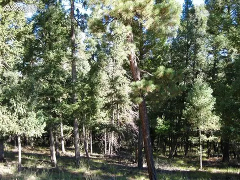 tbd Elfin Glen Dr, Divide, CO 80814 photo 9