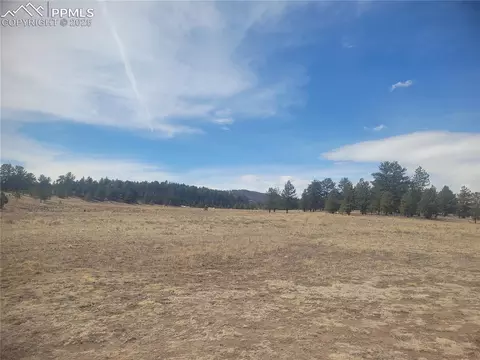 2450 Antelope Ln, Guffey, CO 80820