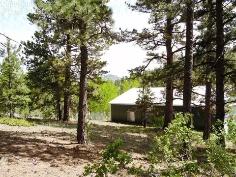 335 Nancy Ann Arroyo Rd, Guffey, CO 80820 photo 17
