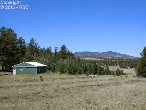 335 Nancy Ann Arroyo Rd, Guffey, CO 80820 photo 3
