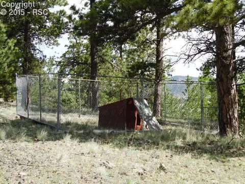 335 Nancy Ann Arroyo Rd, Guffey, CO 80820 photo 18