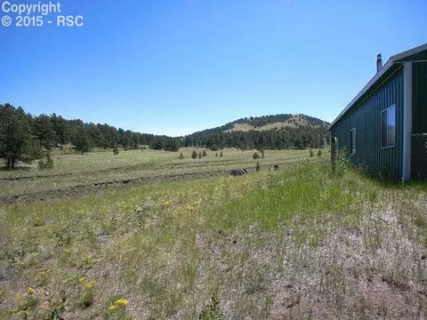 335 Nancy Ann Arroyo Rd, Guffey, CO 80820 photo 5