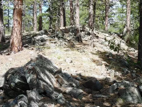 335 Nancy Ann Arroyo Rd, Guffey, CO 80820 photo 21