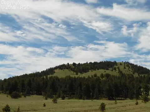 335 Nancy Ann Arroyo Rd, Guffey, CO 80820 photo 24