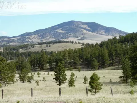 335 Nancy Ann Arroyo Rd, Guffey, CO 80820 photo 25