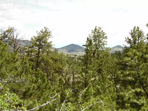 335 Nancy Ann Arroyo Rd, Guffey, CO 80820 photo 20