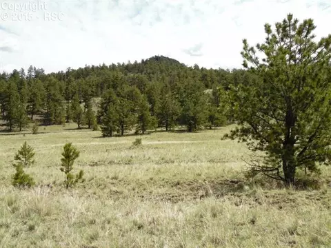 335 Nancy Ann Arroyo Rd, Guffey, CO 80820 photo 23