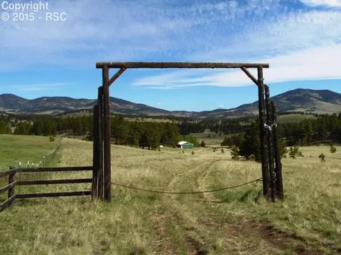 335 Nancy Ann Arroyo Rd, Guffey, CO 80820 photo 1