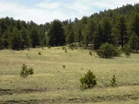 335 Nancy Ann Arroyo Rd, Guffey, CO 80820 photo 22