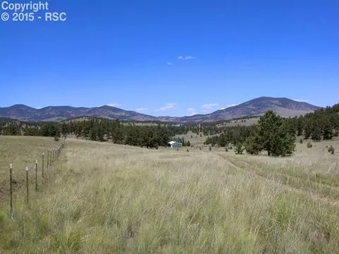 335 Nancy Ann Arroyo Rd, Guffey, CO 80820 photo 2