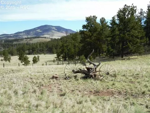 335 Nancy Ann Arroyo Rd, Guffey, CO 80820 photo 26