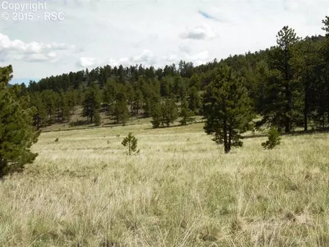 335 Nancy Ann Arroyo Rd, Guffey, CO 80820 photo 19