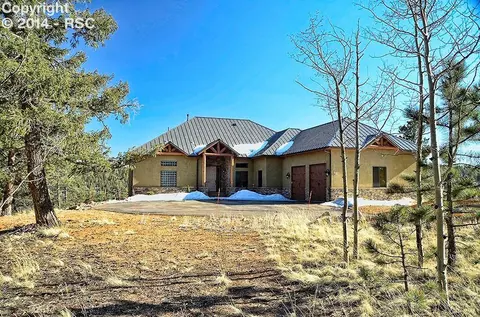 60 Blue Mesa Cir, Divide, CO 80814 photo 1