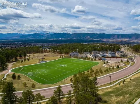 1045 Forest Chime Pl, Monument, CO 80132