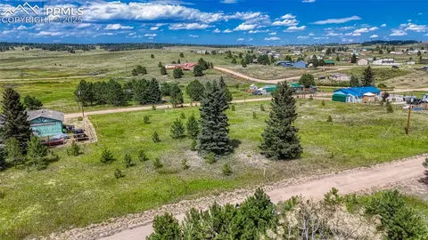 1129 Will Scarlet Dr, Divide, CO 80814 photo 2