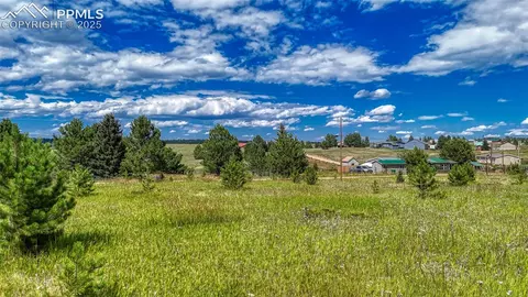 1129 Will Scarlet Dr, Divide, CO 80814 photo 4