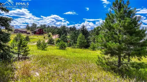 1129 Will Scarlet Dr, Divide, CO 80814 photo 17