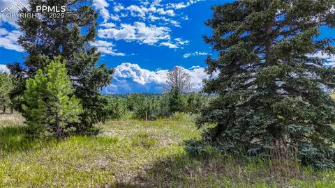 1129 Will Scarlet Dr, Divide, CO 80814 photo 9