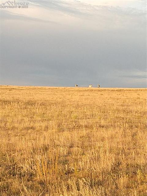35465 Rancho Herrera Vw, Yoder, CO 80864 photo 12